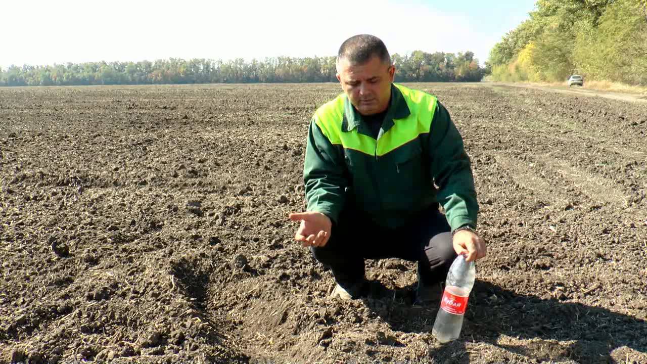 Salford RTS2100 и Бюлер Верстайл 575