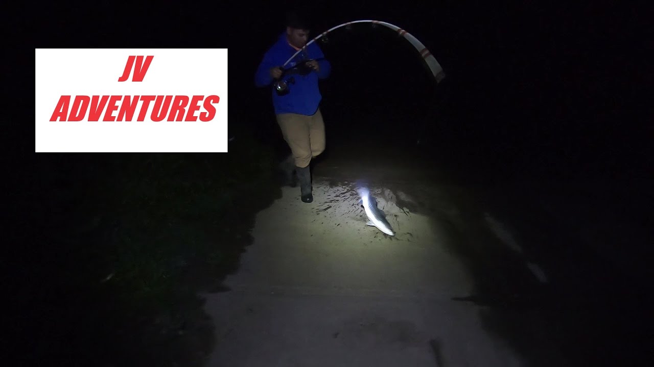 Night Fishing San Joaquin River For Striped Bass!! (Limit Caught)