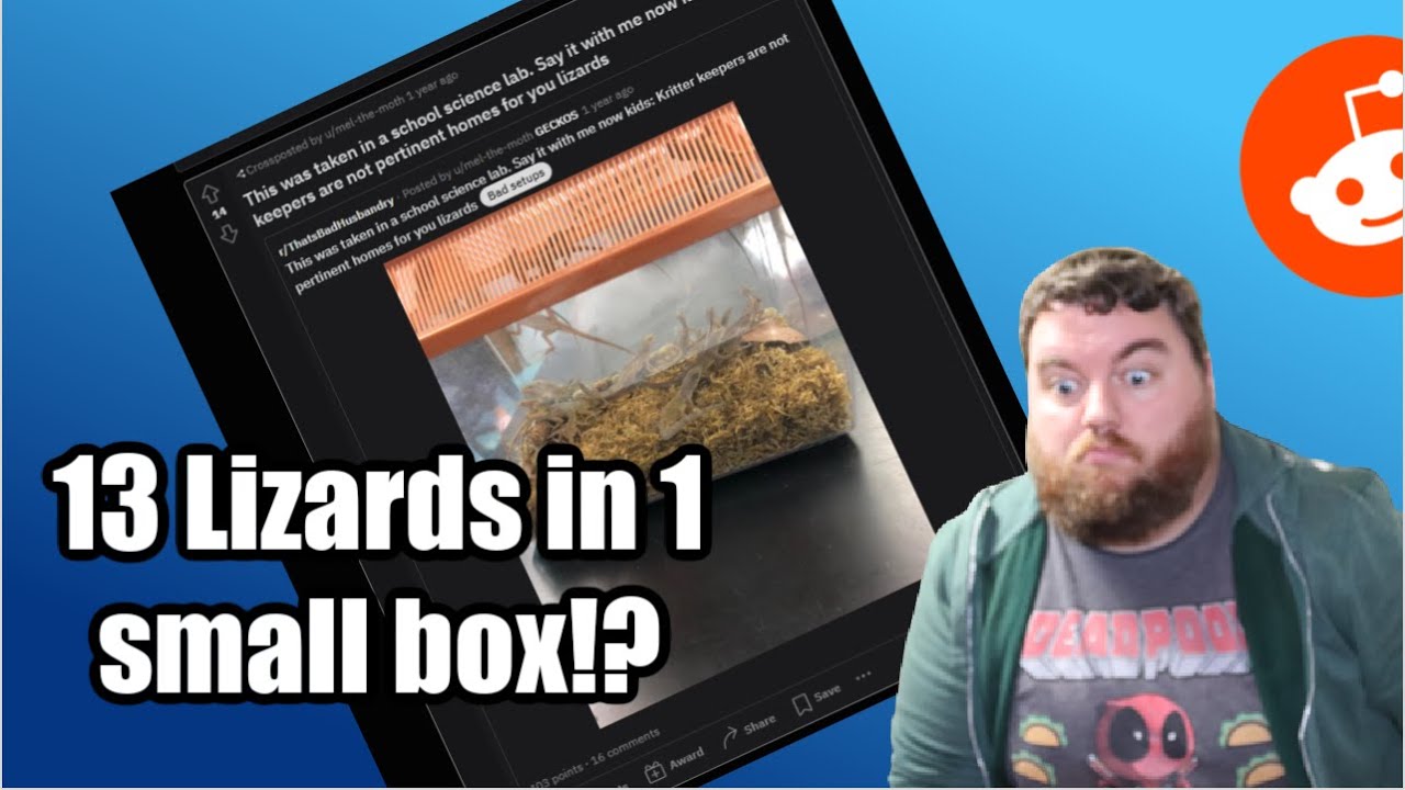 Going to R/shittyterrariums to ruin my day!