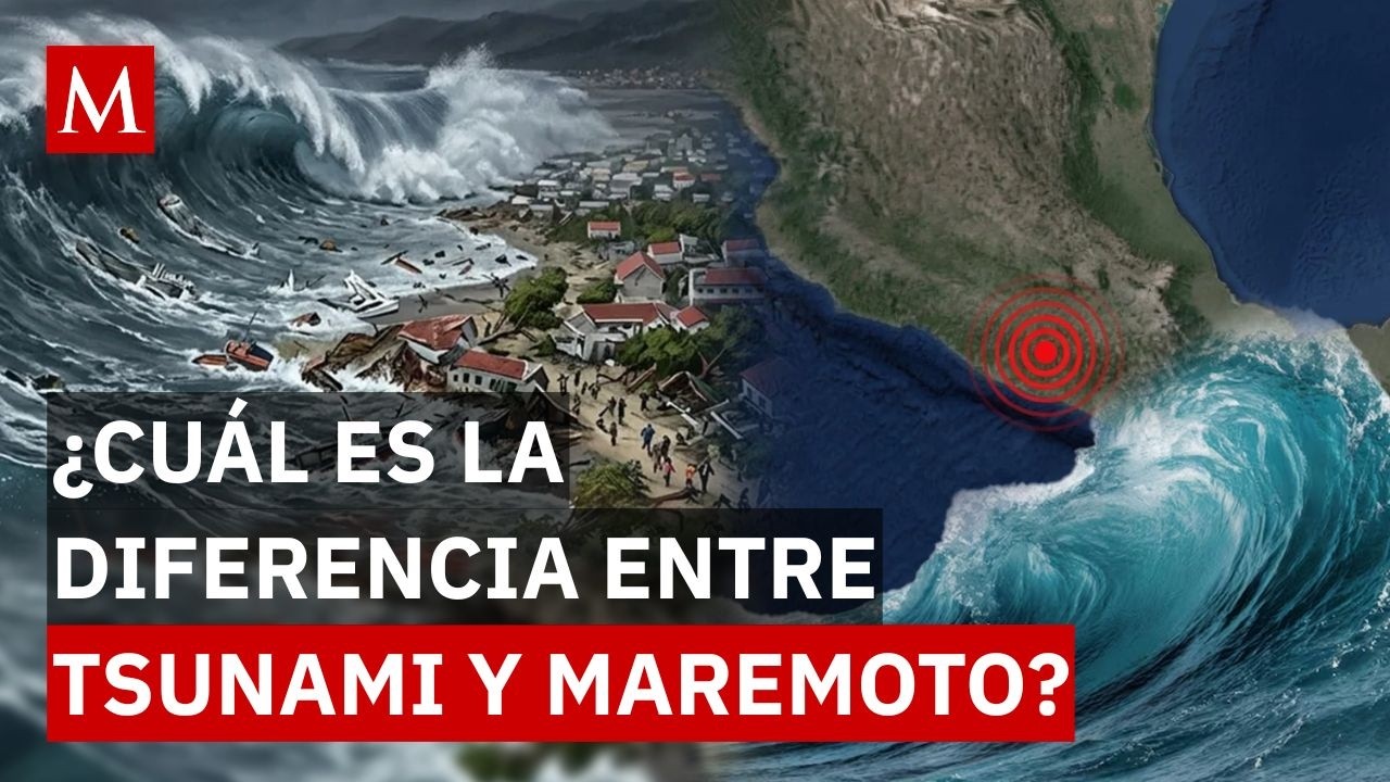&iquest;Tsunami o maremoto? Esto puede pasar tras un sismo en las costas de M&eacute;xico