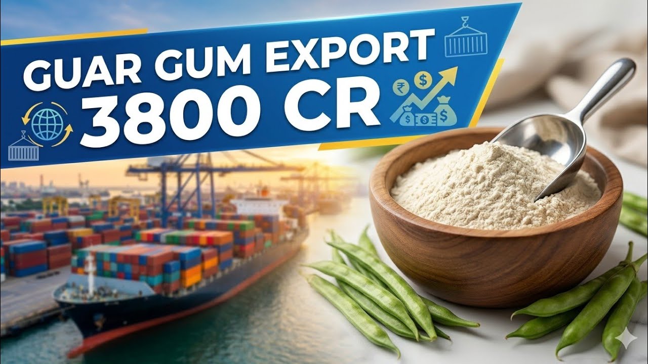 Guar Gum Export = 25% Margin #export #import #business 
