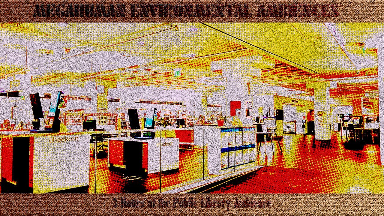 3 Hours at the Public Library Ambience