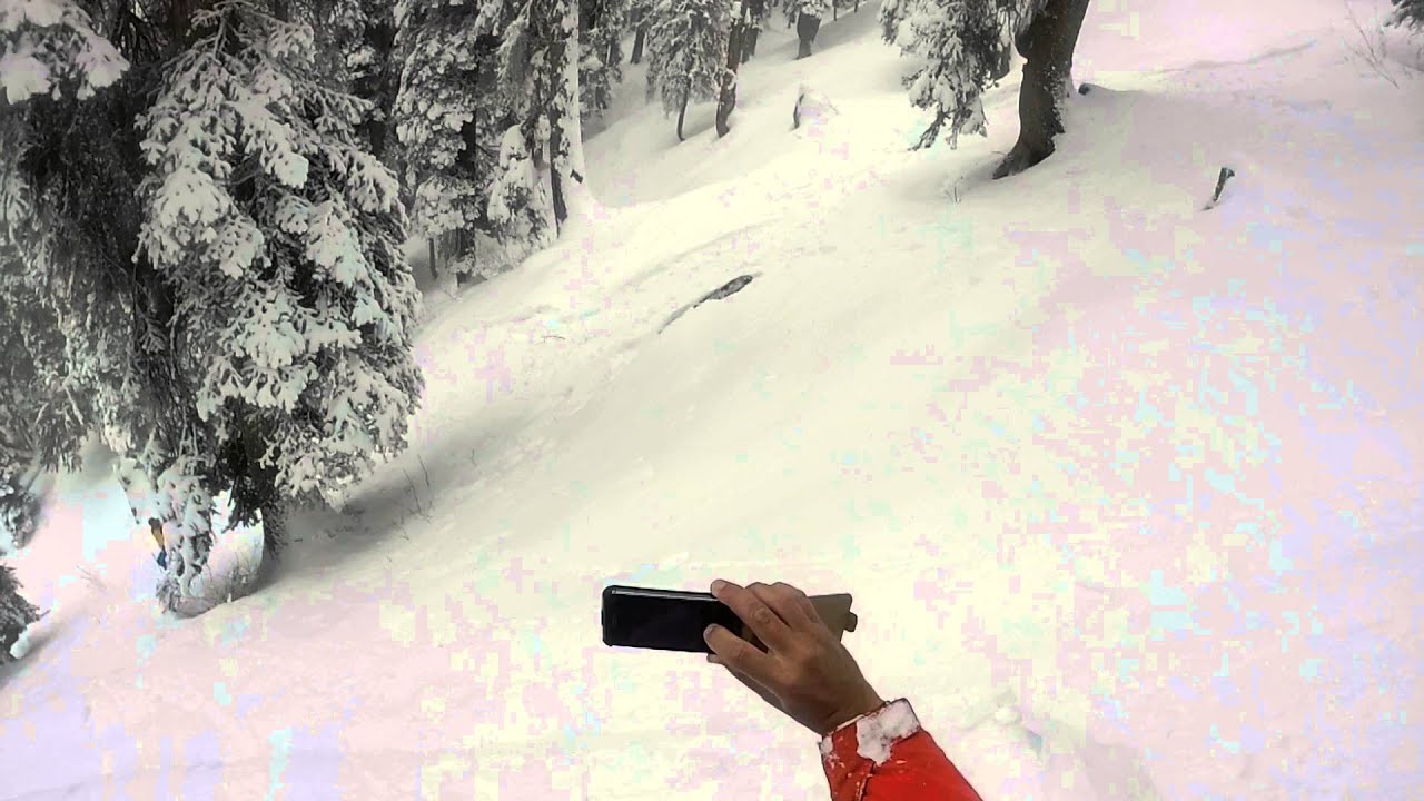 Skiers Encounter Leopard in Snow