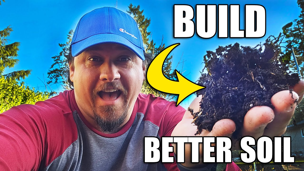 6 Ways To Build Better Soils Over Winter