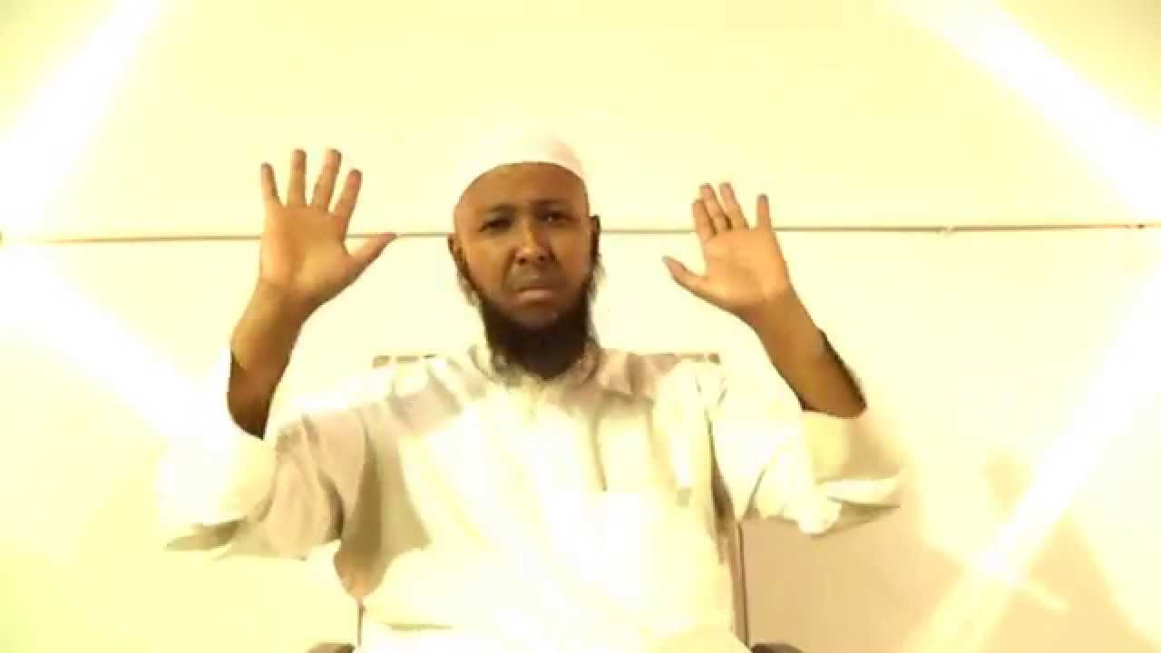 الموضوع : سؤال وجواب في أستراحة