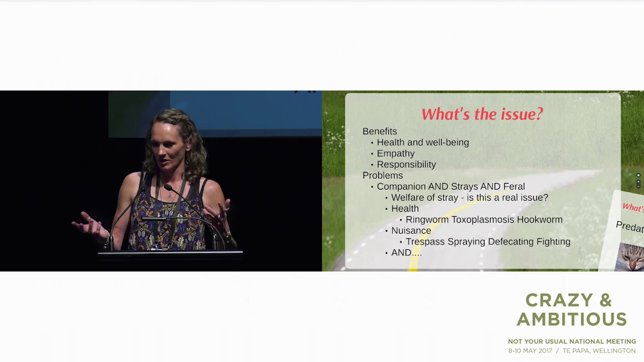 The conversation about feral cats in New Zealand