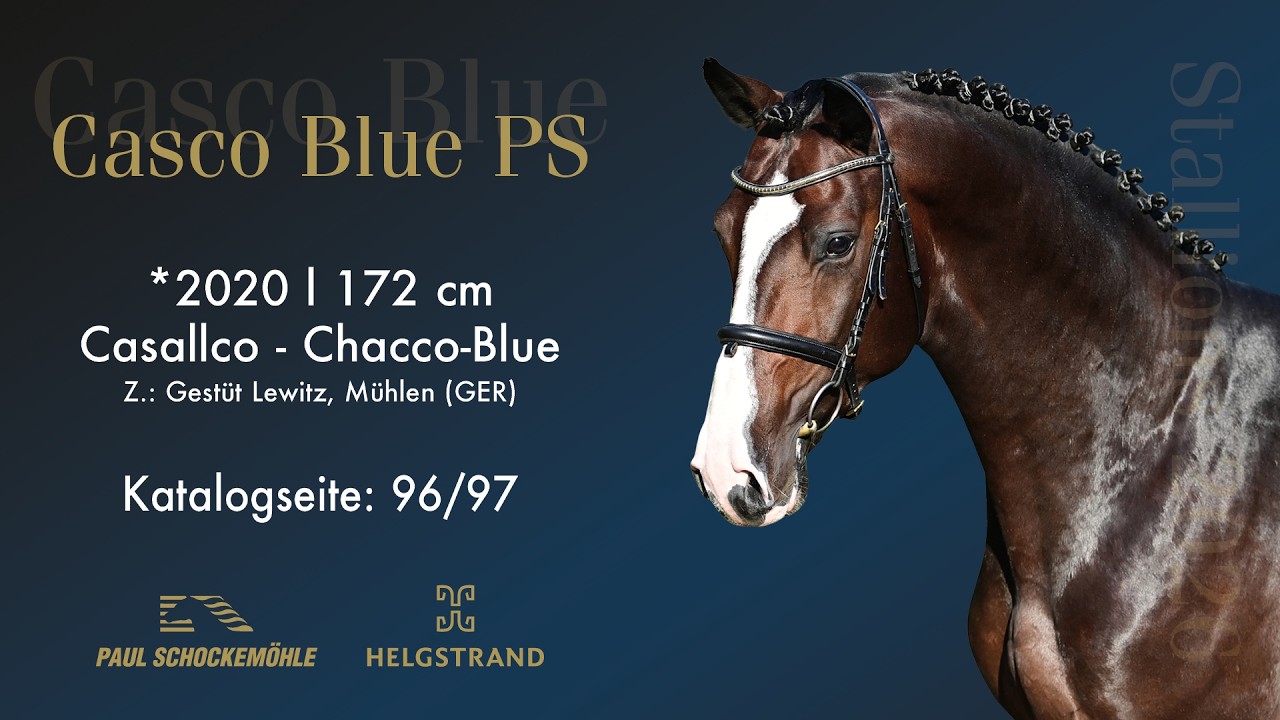 Casco Blue PS