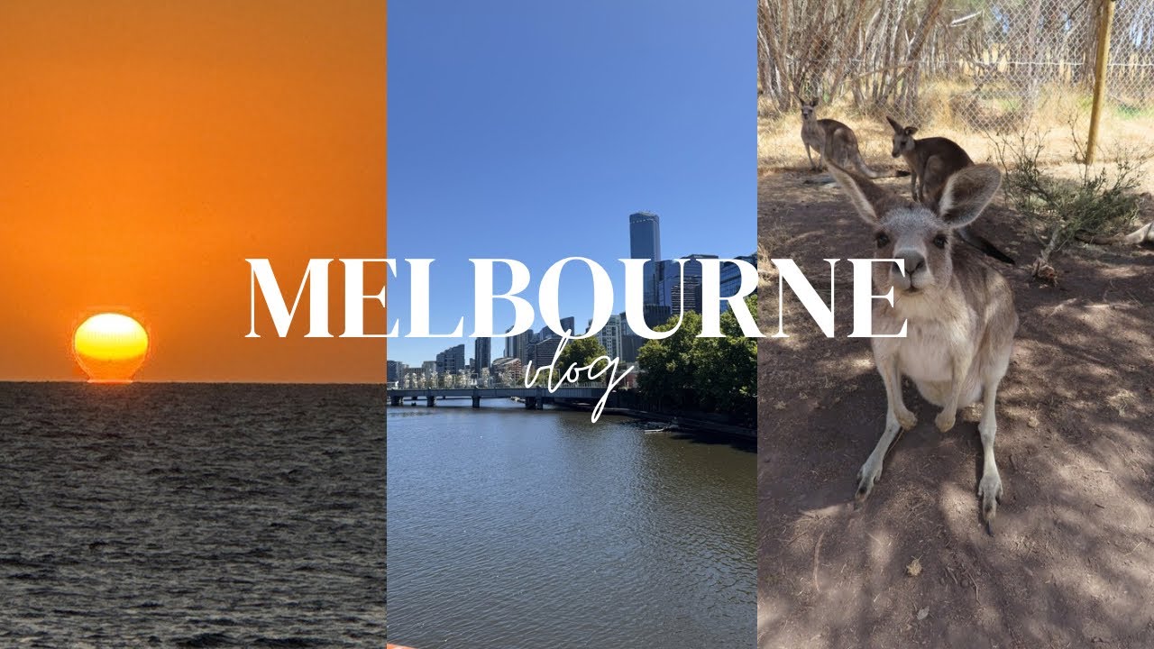 Moving into our new apartment in Melbourne🇦🇺 & Phillip Island Vlog🦘🐨🐧