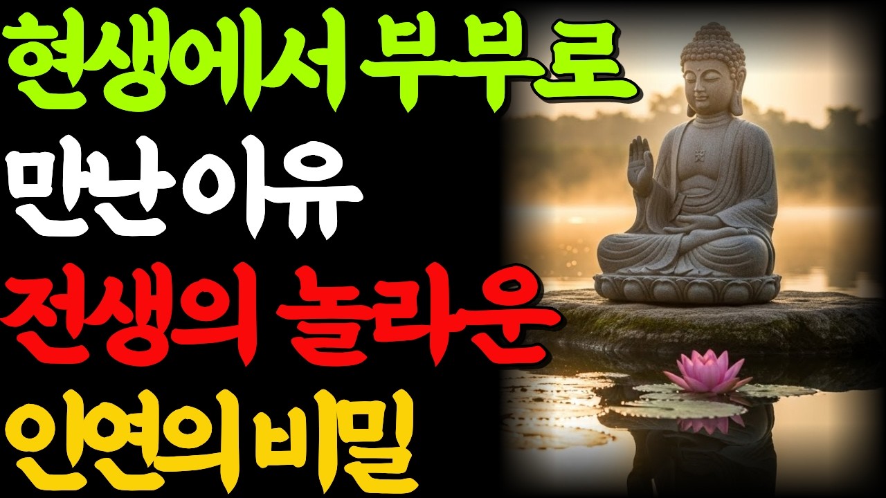 현생에 부부로 사는 것은 전생의 인연과 업 때문이다 | 자면서 듣는 부처님 말씀 | 불교명언 | 부처님가르침 | 부처님명언