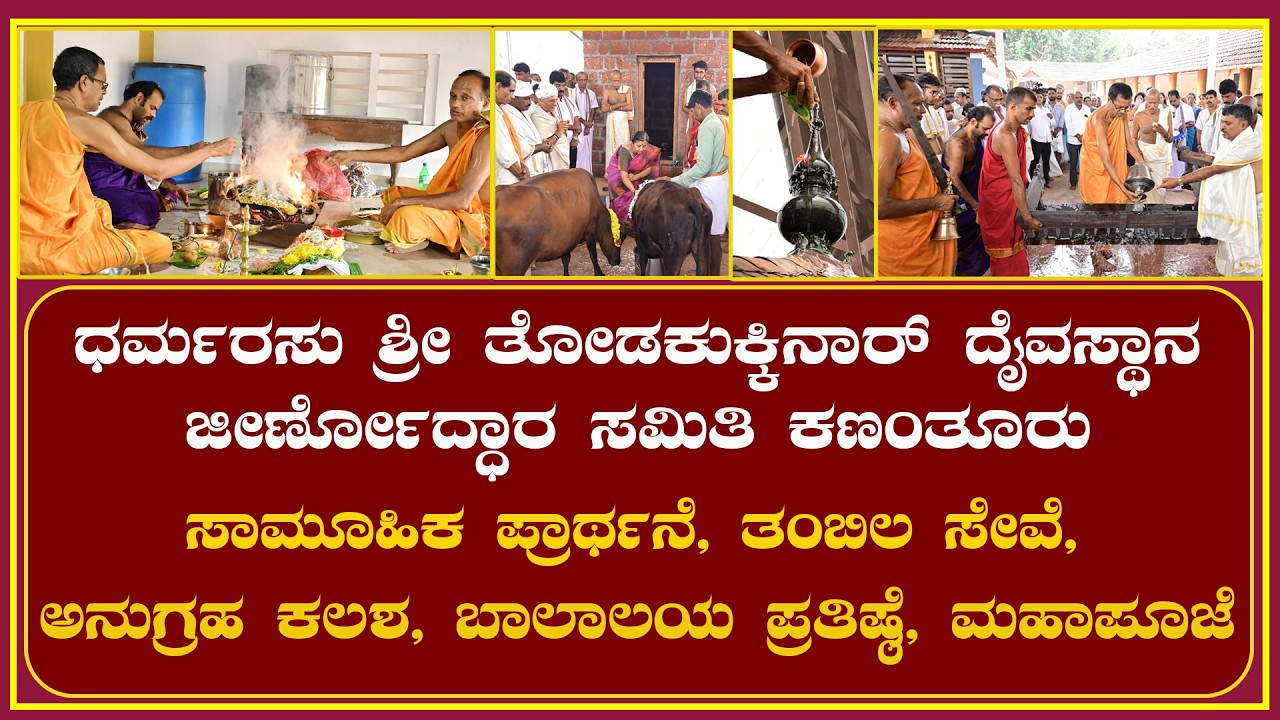 ಕಣಂತೂರು| ಧರ್ಮರಸು ಶ್ರೀ ತೋಡಕುಕ್ಕಿನಾರ್ ದೈವಸ್ಥಾನ -ತಂಬಿಲ ಸೇವೆ, ಅನುಗ್ರಹ ಕಲಶ, ಬಾಲಾಲಯ ಪ್ರತಿಷ್ಠೆ,ಮಹಾಪೂಜೆ..
