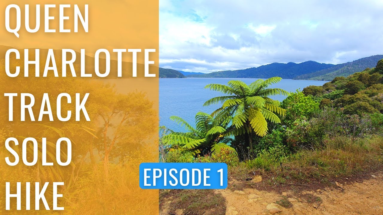 Hiking the EPIC Queen Charlotte Track | New Zealand South Island