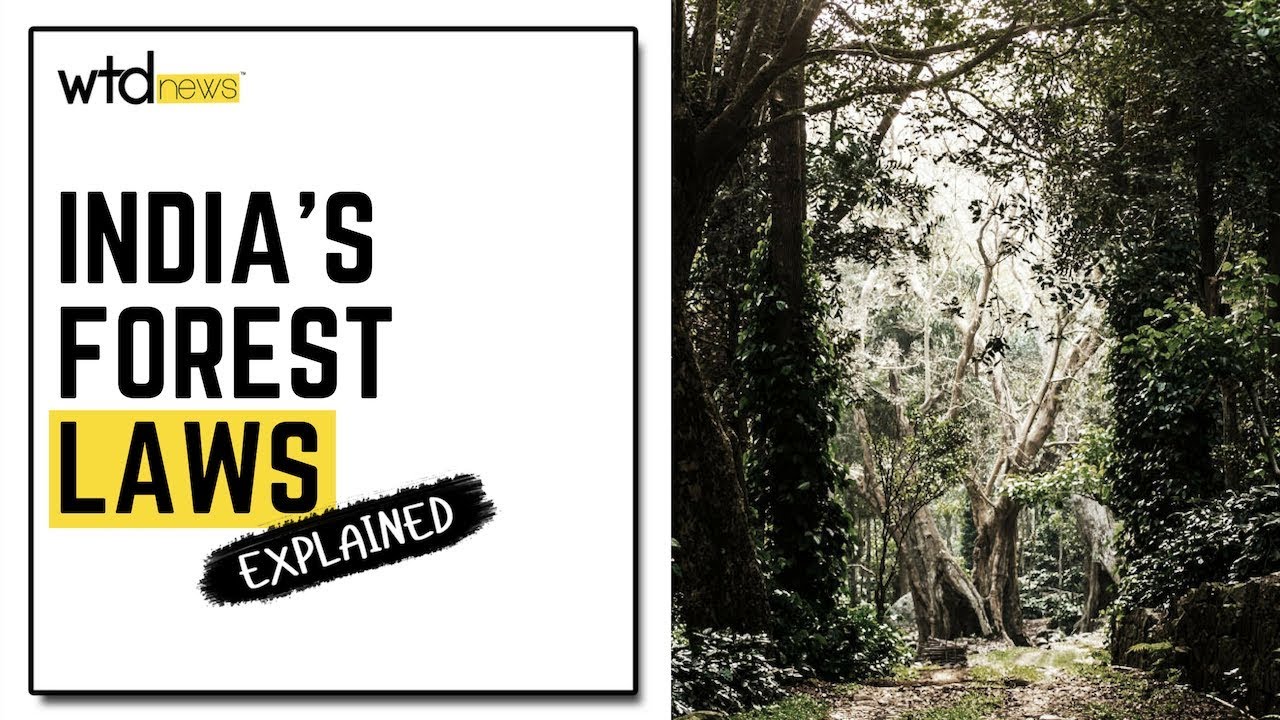 India's Forest Laws: Explained