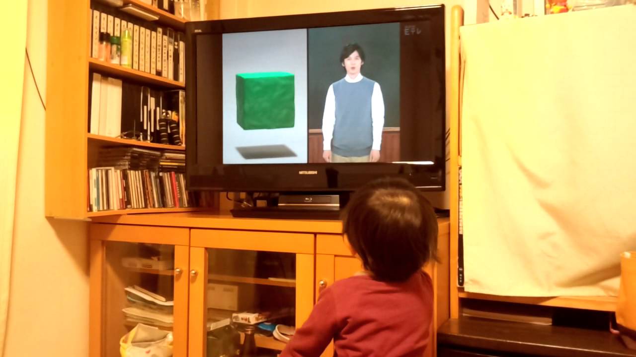 ヨッチのピタゴラ拳法