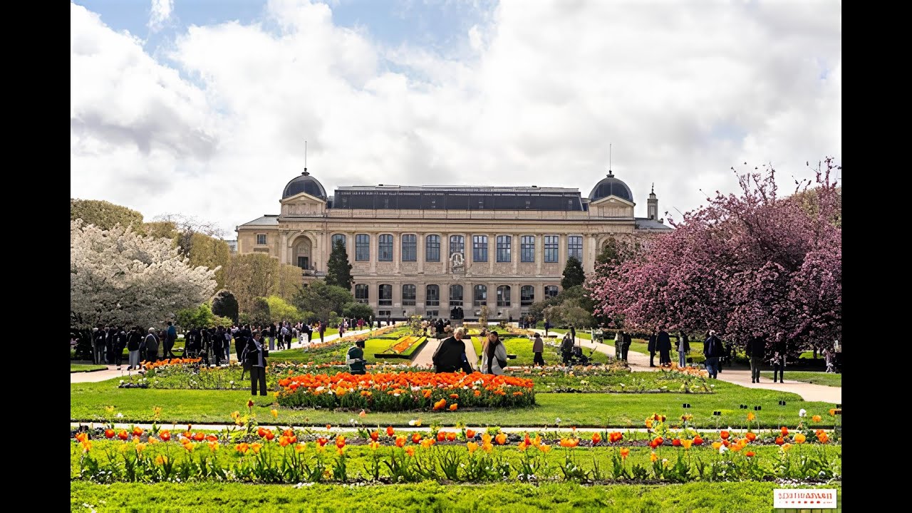 Visite de la Grande galerie de l'évolution
