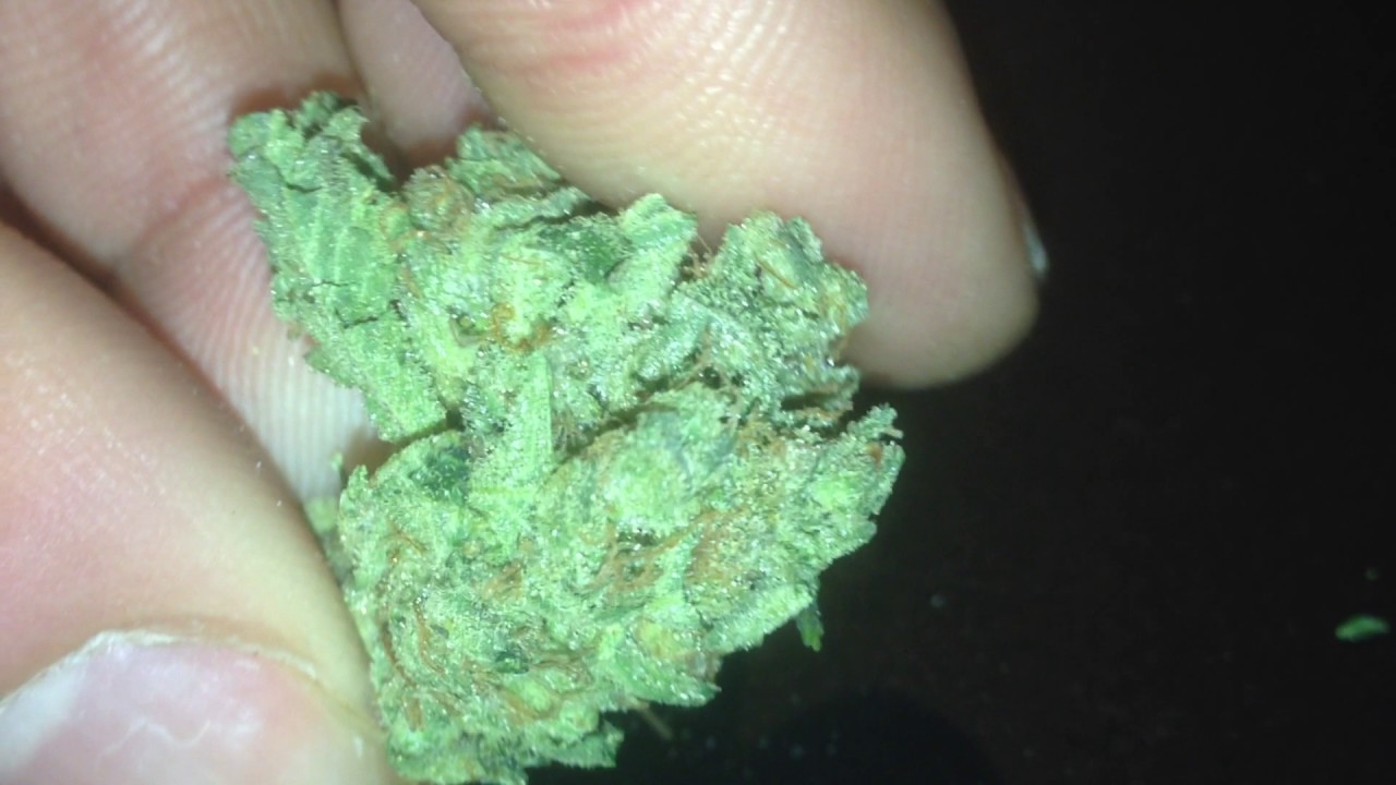 Lemon Haze Cannabis 29% THC