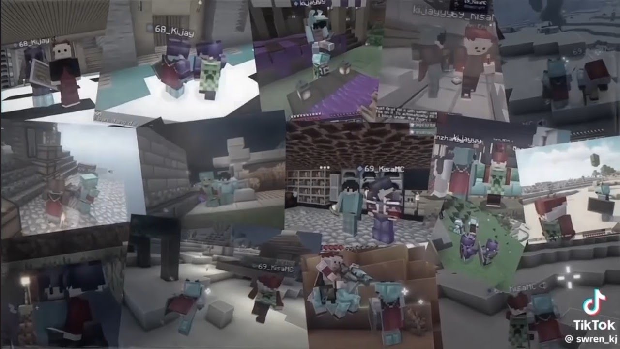 Tổng hợp các video tiktok về Mega SMP #4 / cre: tiktok | Rinnie