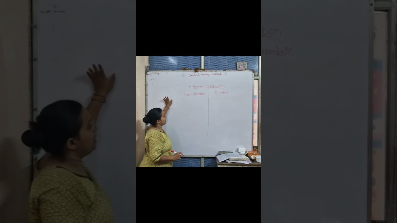 #animalstudy #animalclassification #education #class #biology #chordates #chordataaroundtheworld