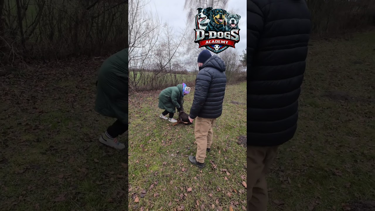 Przywołanie psa, kto popełnia błąd pies czy człowiek ? #dogcoach
