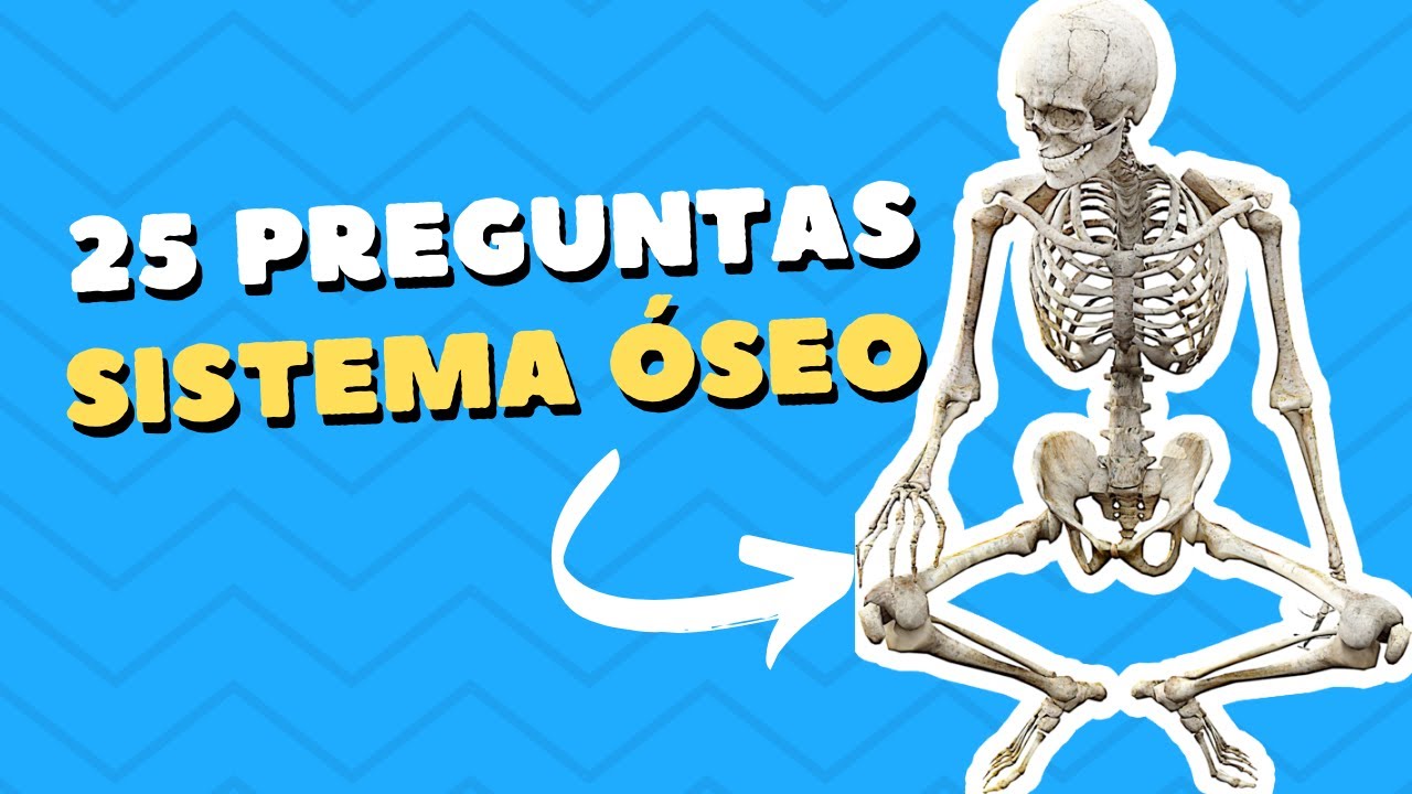 Sistema óseo [Test] ✅ 25 preguntas y respuestas