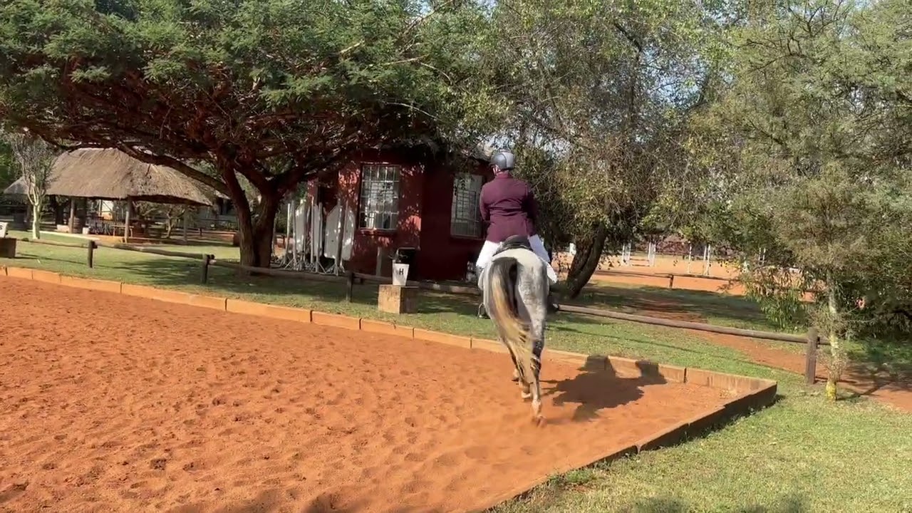 Jo-Ann Vallet -Riemlano- ODS walk trot 1 -26 February 2026 
