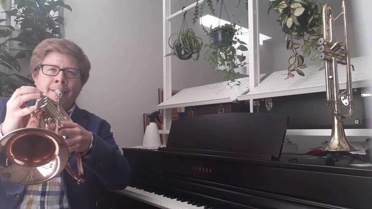 Cradle Song (J. Scott Skinner, arr. D. Lever)
