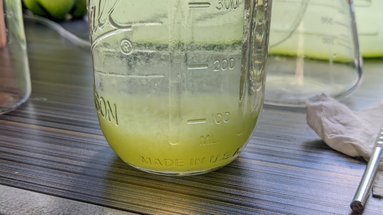 Algae Flocculation with Chitosan