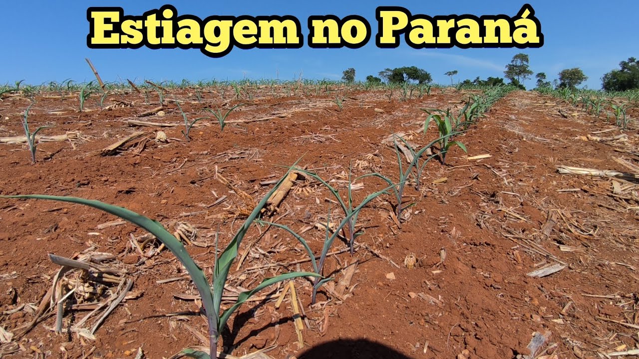 Falta de chuvas começando a preocupar 