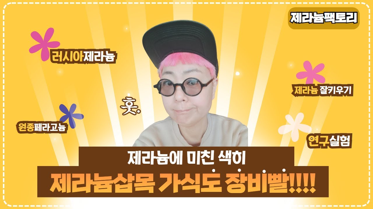 제라늄 삽목이 가식도 장비빨 세우는 제리! ㅋㅋㅋ