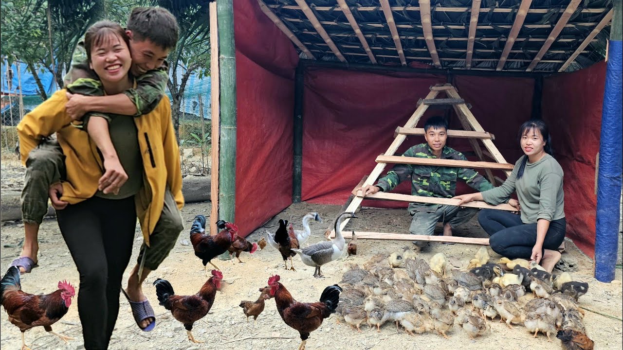 Build a chicken and duck farm to expand the farm scale | Linh's Life