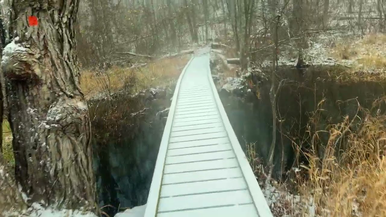 The Lake Loop at Wawayanda State Park, NJ