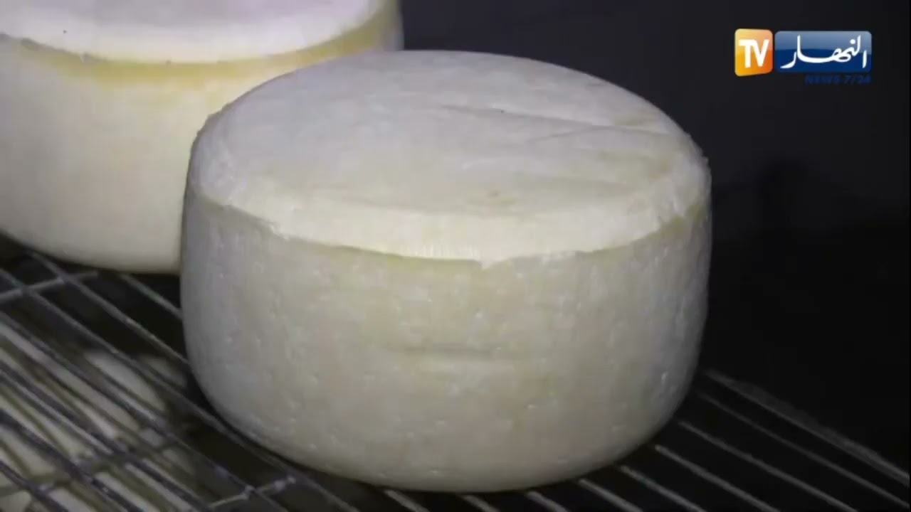 سعيدة : ملبنة المنبع..ريادة في صناعة الأجبان الطبيعية عبر نوعية و جودة عالية