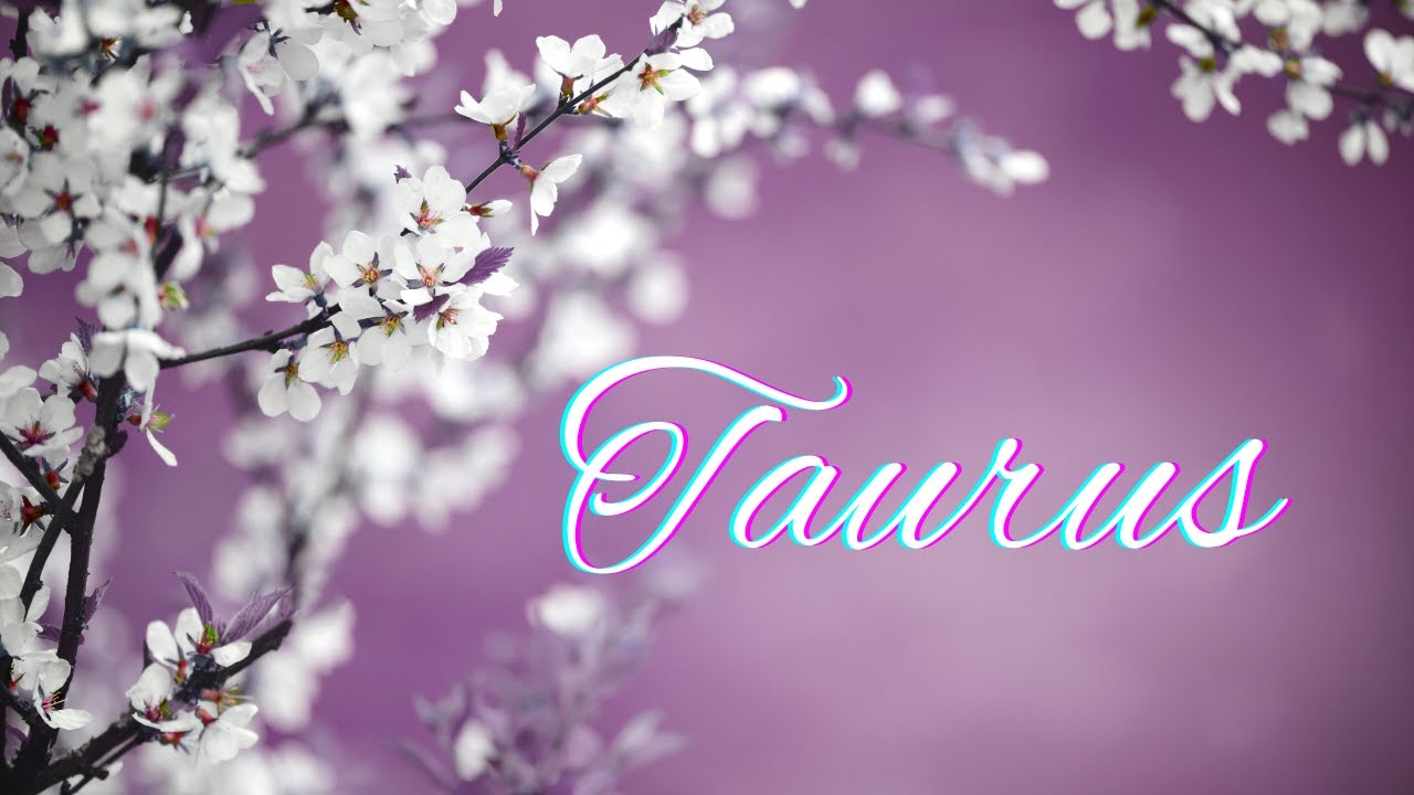 Taurus💜Things Are Going To Move Quickly Between You💮Mirroring Each Other - Holding Back💜Energy Check