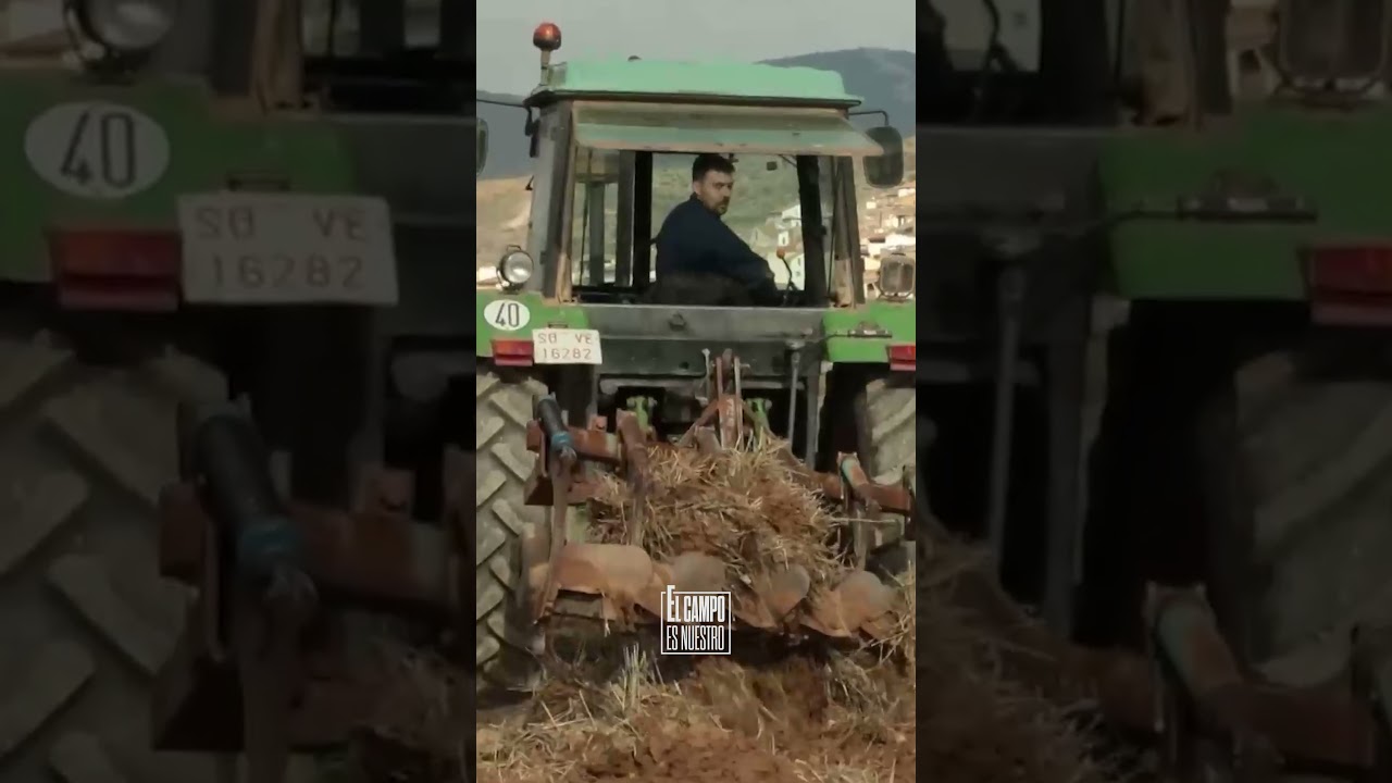 Hay que ser torero, poner el alma en el ruedo&hellip;