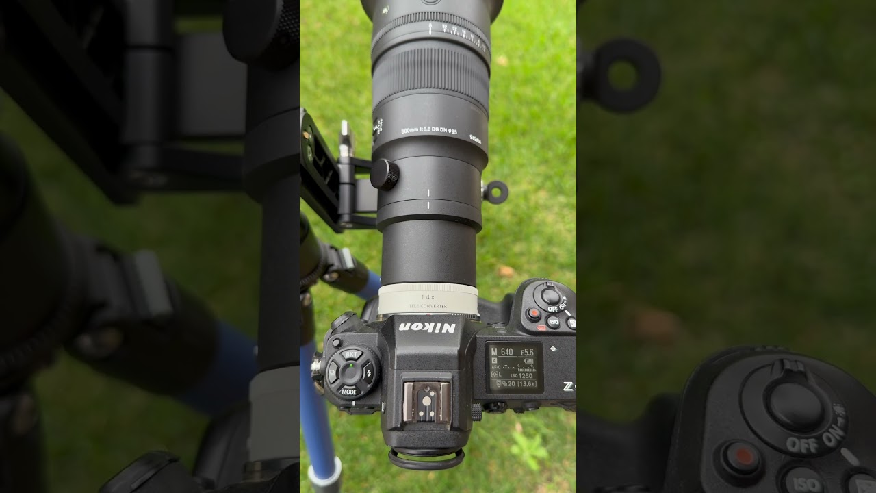 Z9 + Sigma 500mm f5.6 with no fps restriction.  You can also use Sony TC