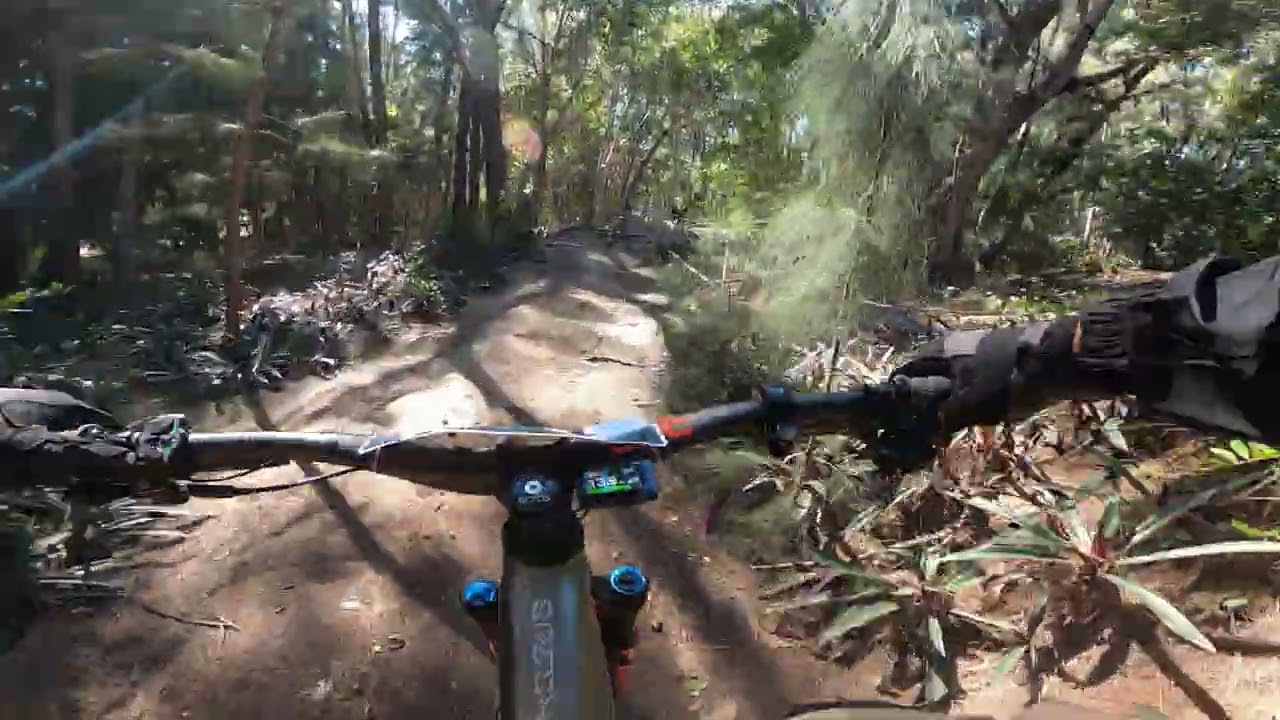 MARKHAM PARK ALLIGATOR RACE EBIKE