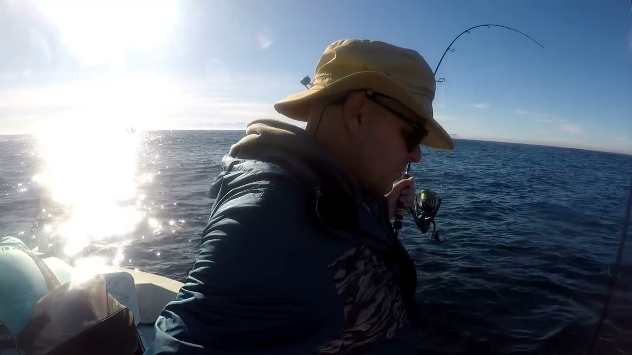Major Craft Light Jigging rods and Jigpara jigs