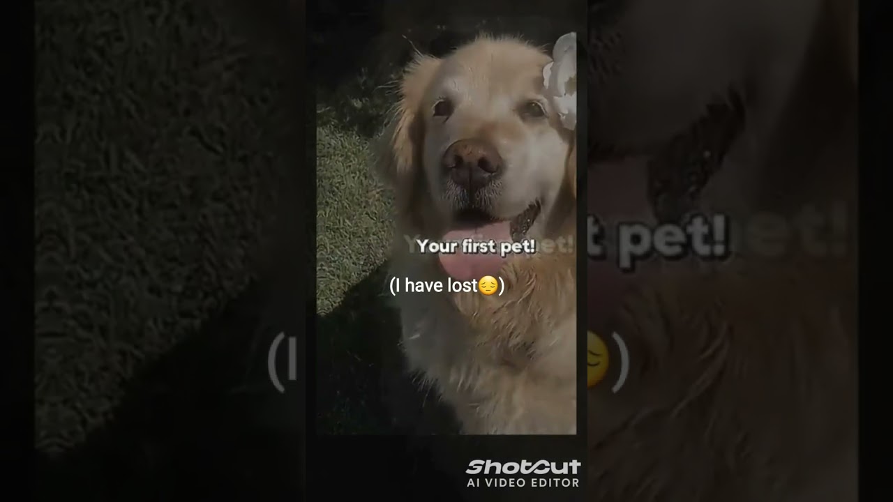 things that never comes back to your life🥀... 