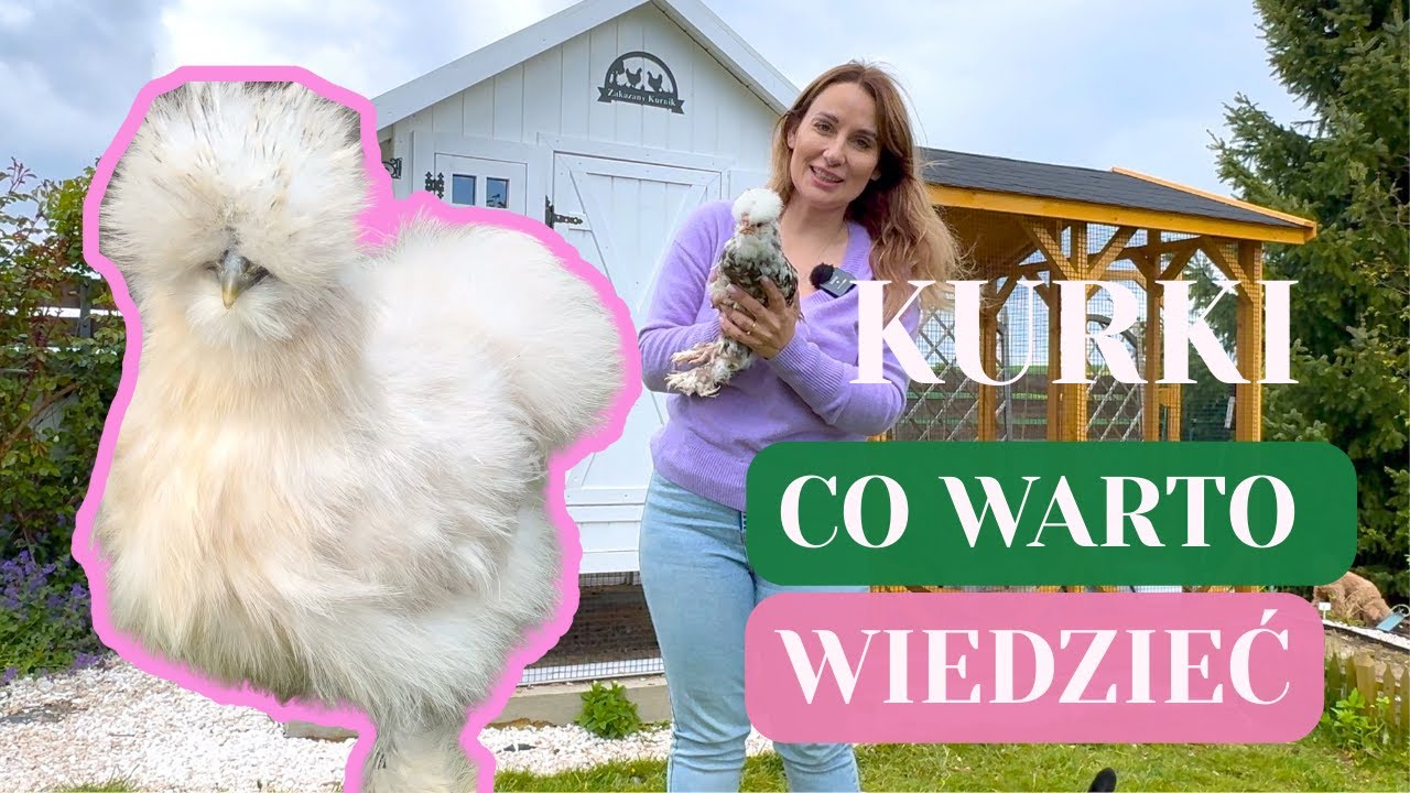 KURY JEDWABISTE W OGRODZIE - DLACZEGO ONE? CO WARTO WIEDZIEĆ