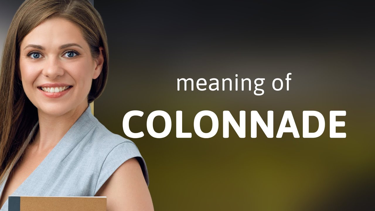 Colonnade &mdash; definition of COLONNADE