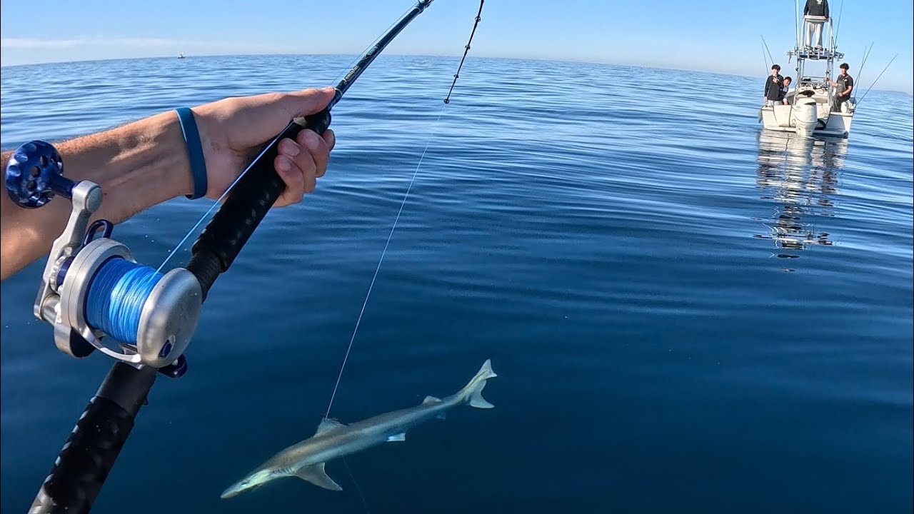 2 Day La Jolla Homeguard Hunt