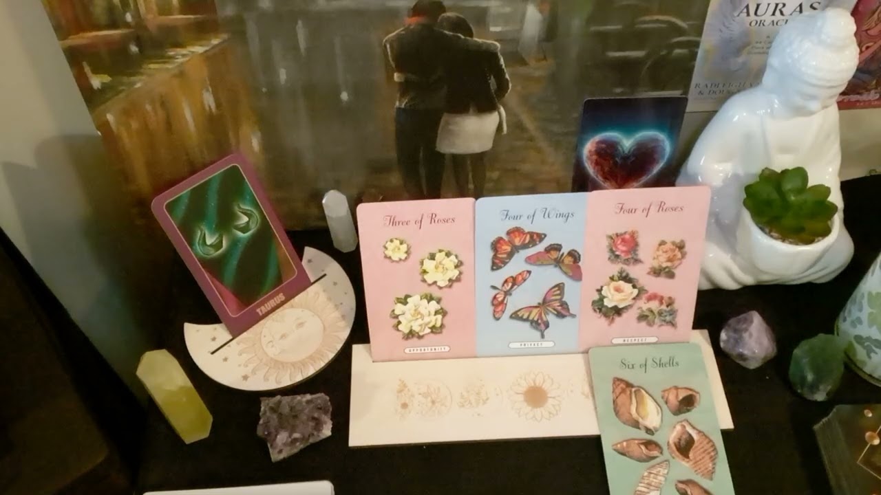 TAURUS  ❤️ FEBRUARY LOVE TAROT READING ❤️ MUTUAL  RESPECT ❤️