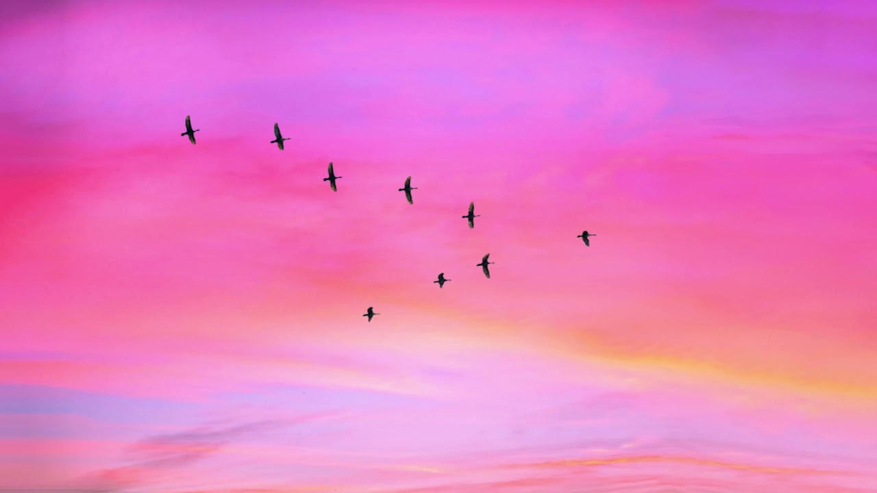 Chopin - Nocturne Op. 9 No. 1 slowed down + reverb