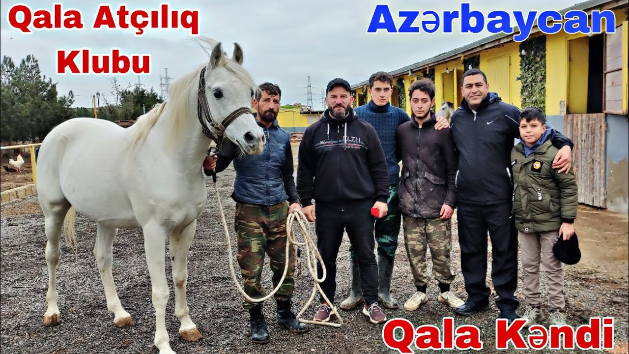 Qala Atçılıq klubu , Qədim qala kendi, Atlar haqqında Məlumat @mubarizemintv2271