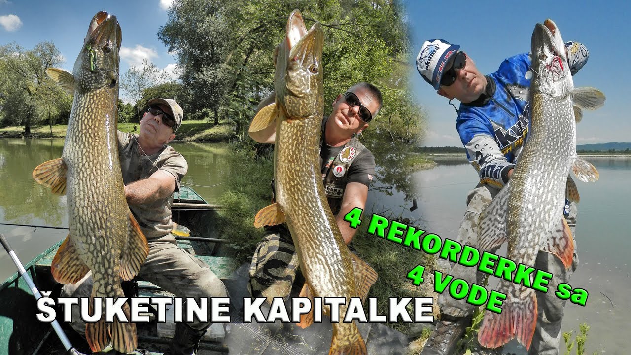 Kako sam ulovio 4 kapitalne štuke!? 4 REKORDERKE sa 4 vode / VSP Studio Igor Pavičić