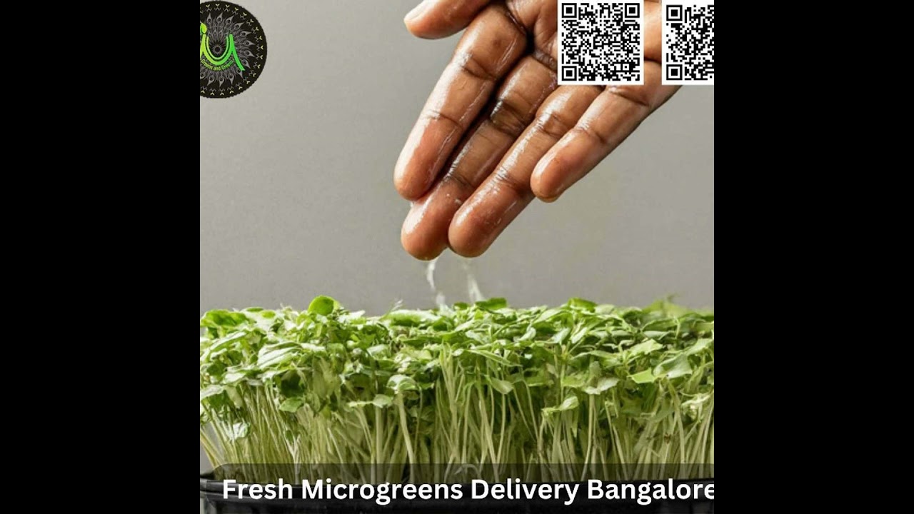 Fresh Microgreens Delivery Bangalore: Farm-to-Table Freshness at Your Doorstep