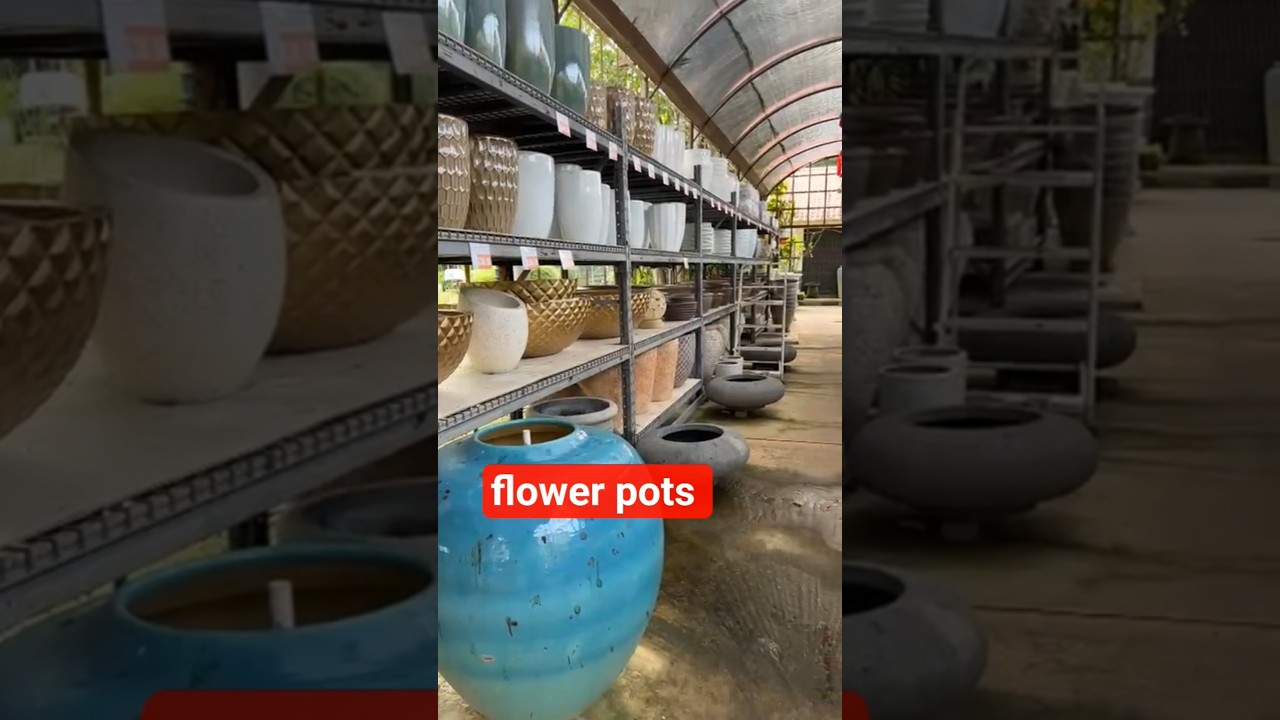Цветочный горшок со скидкой #цветочныйгоршок #керамическиегоршки #любительрастений #декор #разные