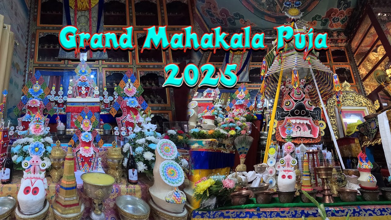 Starts Grand Mahakala Puja 2025 #MahakalaPuja2025 #JangchubChoelingMonastery