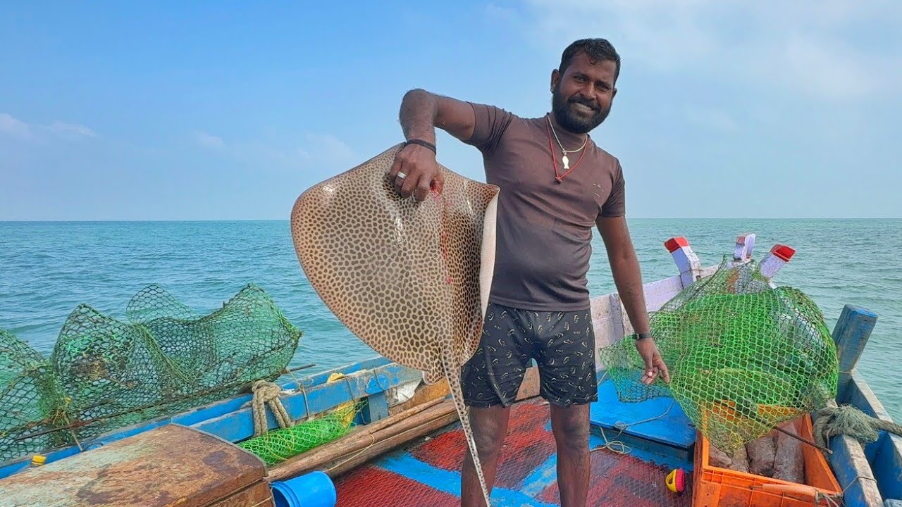OMG 💢 Incredible Parrot Fish & Grouper Fishes❗TRAP CATCHES 