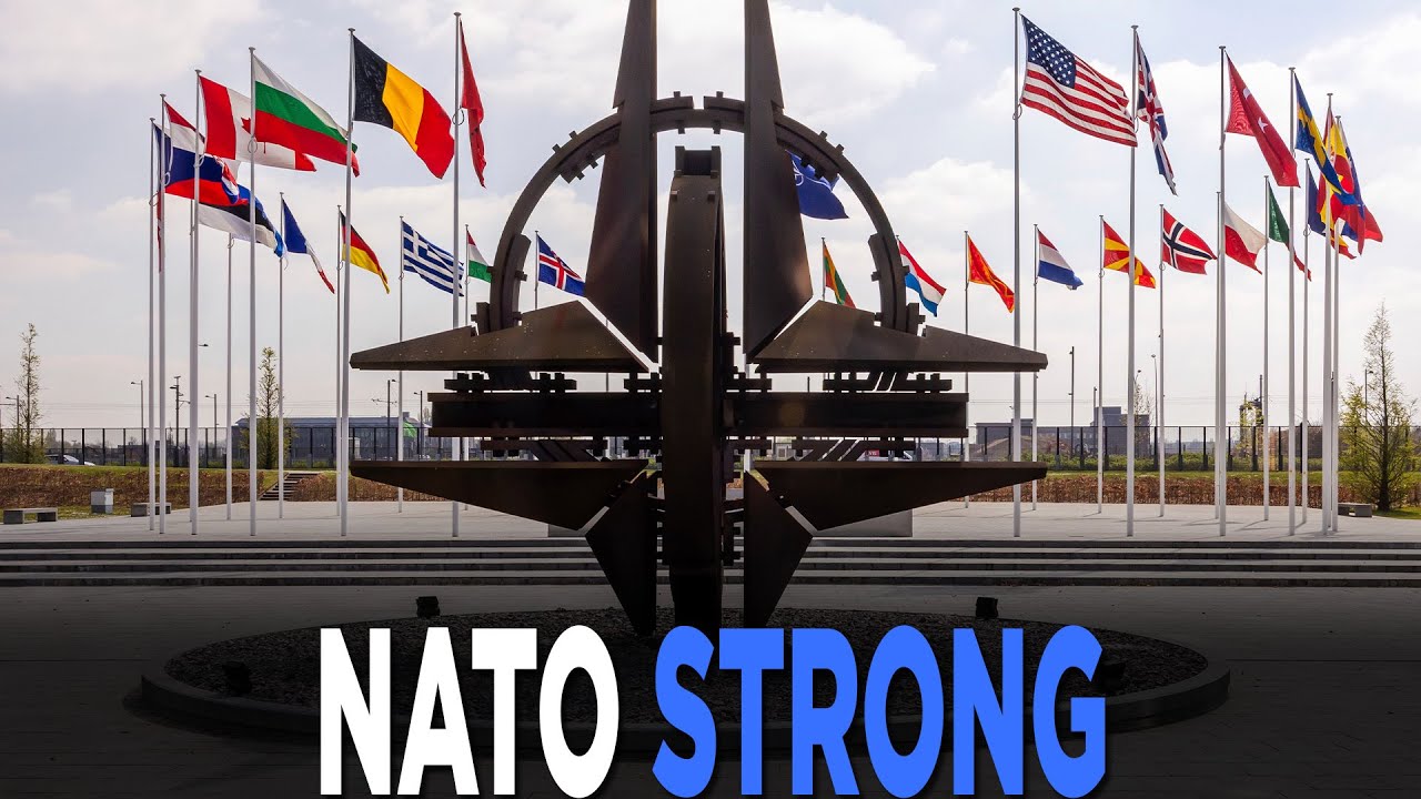 NATO Taking Russian Drones In Poland As WARNING, Worries Of Wider War Deepen | TRENDING