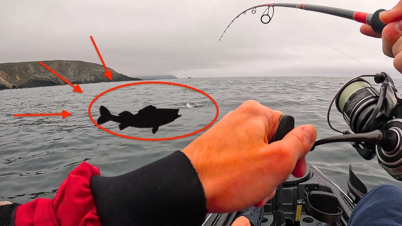 CE LEURRE REND FOU LES BARS !!! PÊCHE du BAR en SURFACE